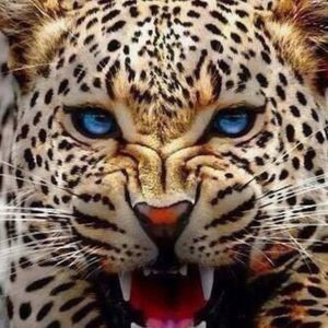 Meet your Posher, Janet